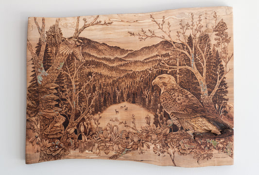 Settling into Unknown