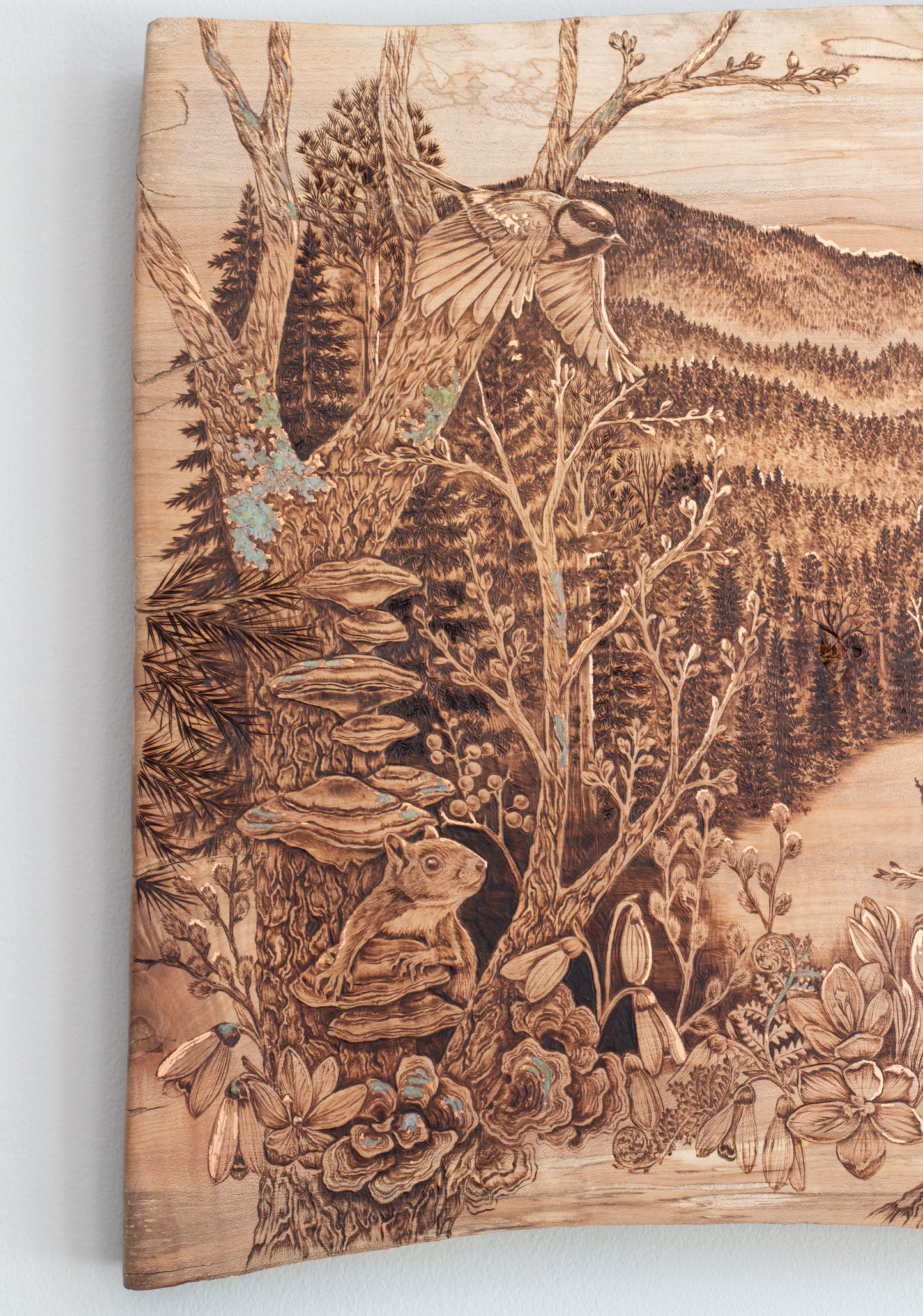 Settling into Unknown