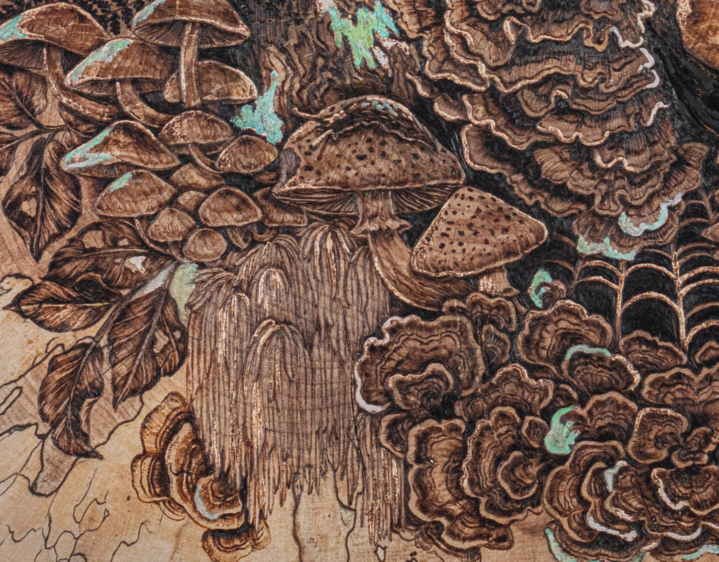 The Curious Forage