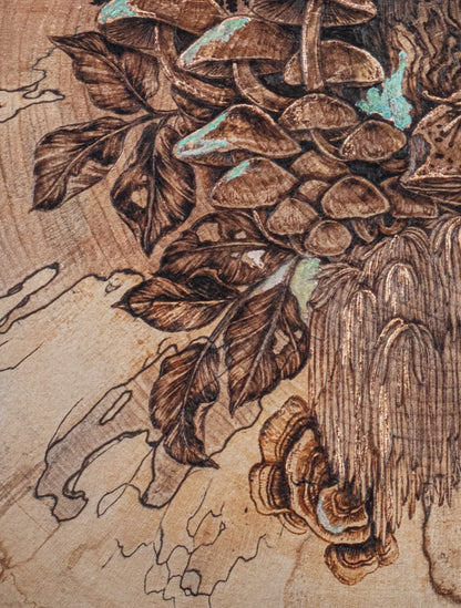 The Curious Forage