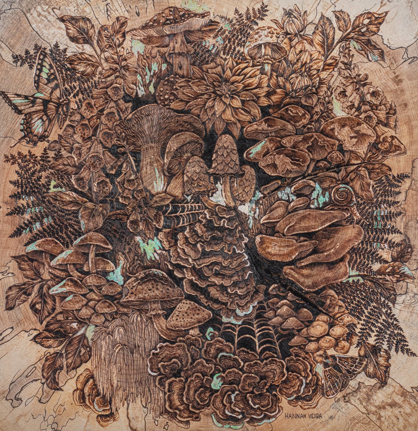 The Curious Forage