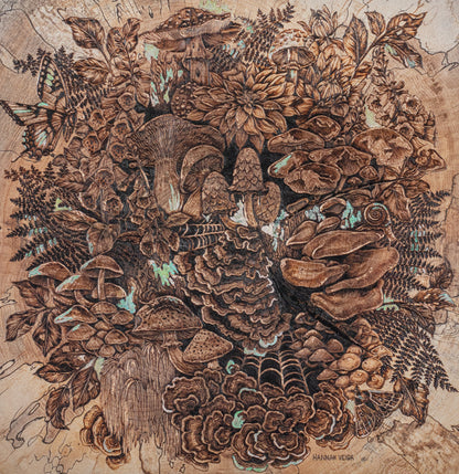 The Curious Forage