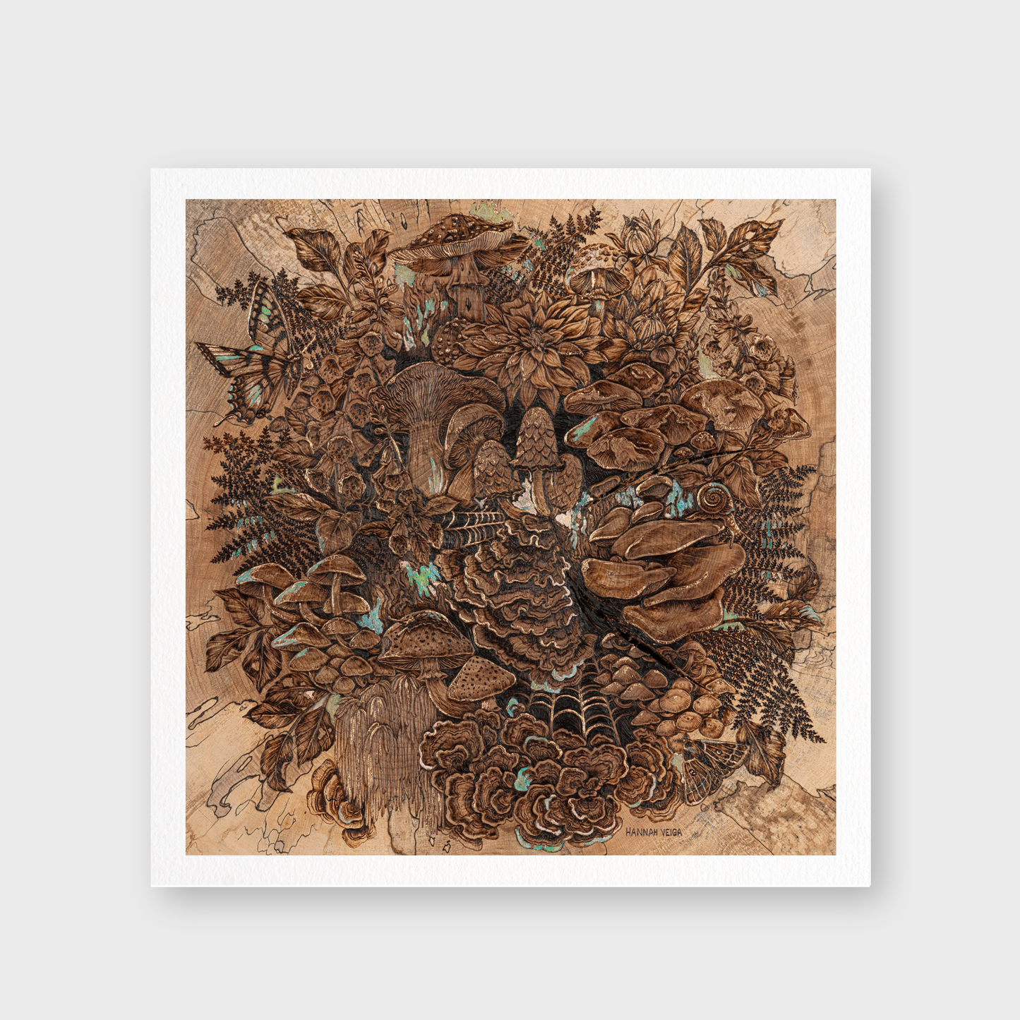 The Curious Forage