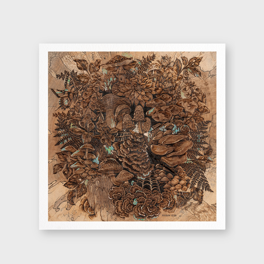 The Curious Forage