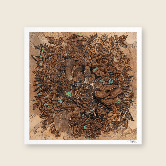 The Curious Forage